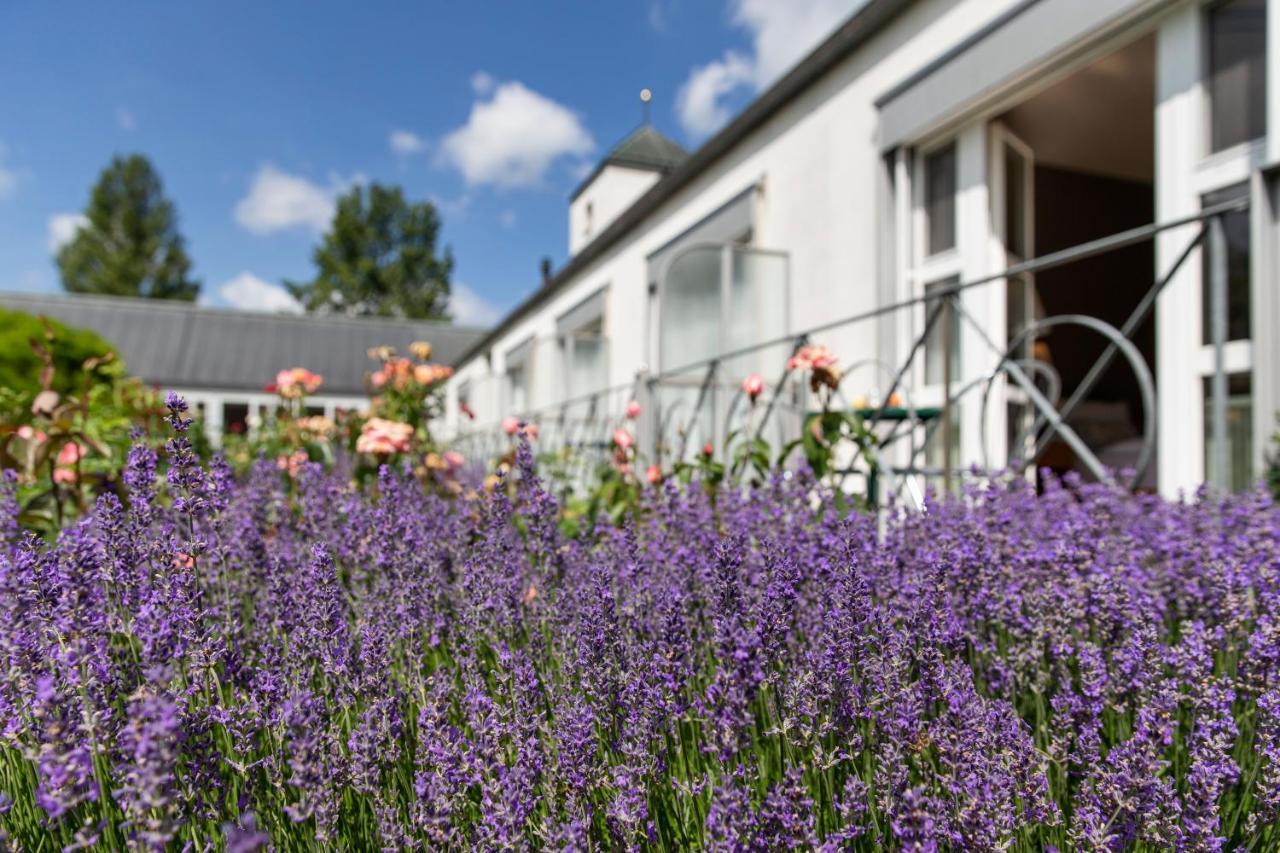 See & Park Hotel Feldbach Steckborn Exterior photo